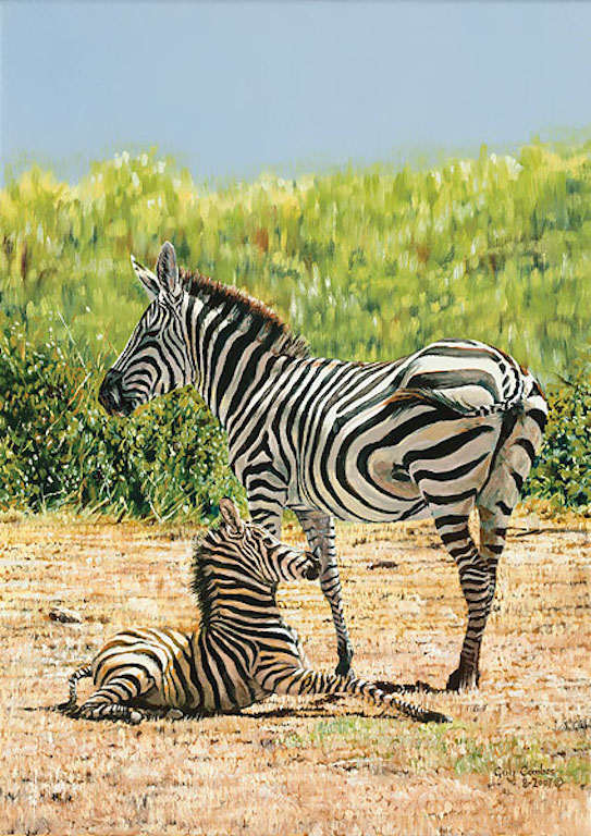 Guy Combes A Shaky Start