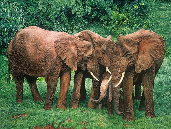 Guy Combes The Creche