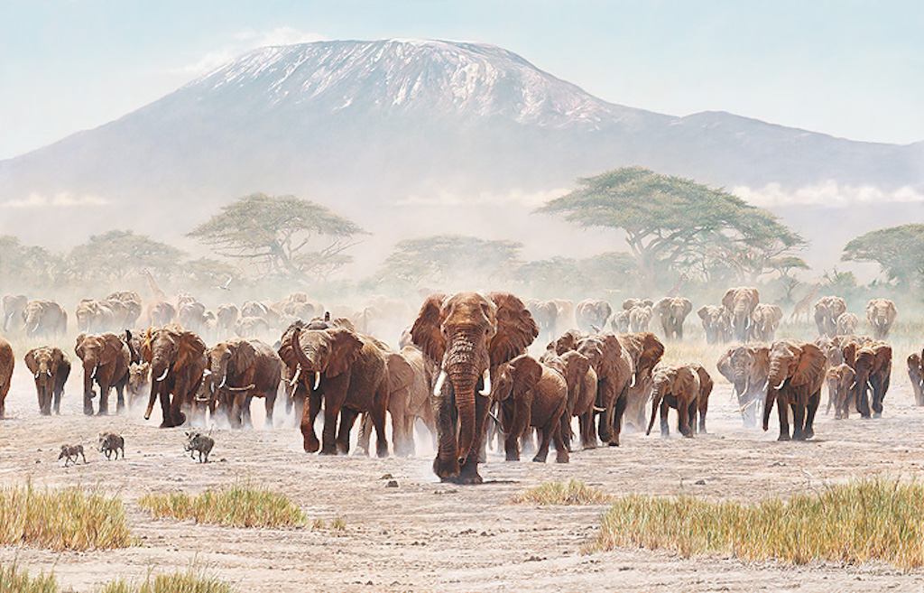 Guy Combes Passage of Promise Elephants