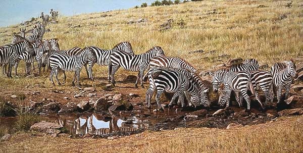 Simon Combes The Watering Hole