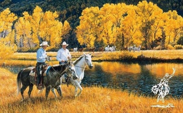 Tim Cox Better Than Gold