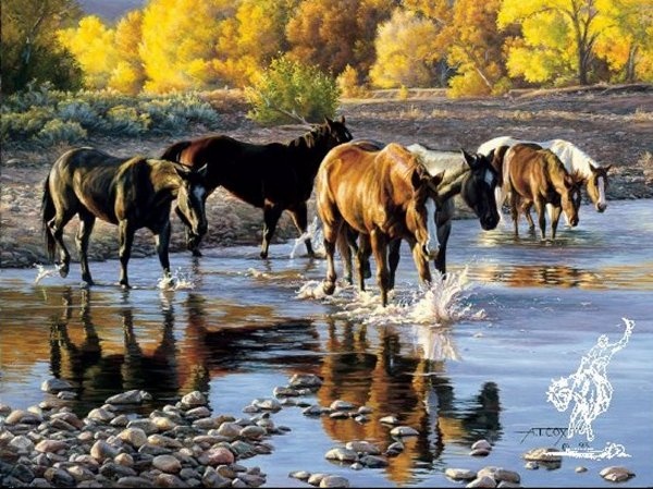 Tim Cox Coming In at Sundown