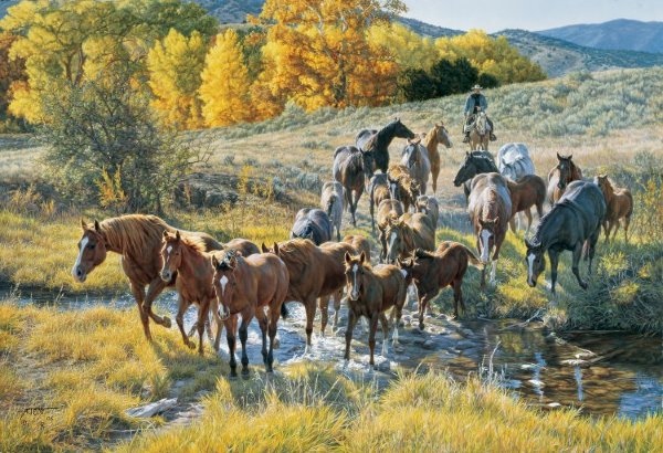 Tim Cox Crossing The Creek