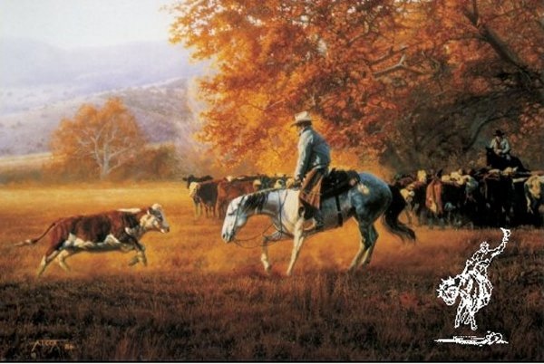 Tim Cox Face To Face