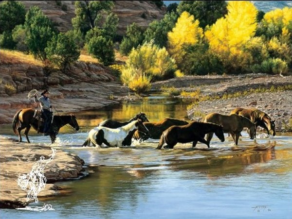 Tim Cox Fresh Mounts