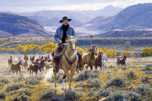 Tim Cox Good Horses and Wide Open Spaces