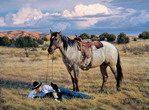 Tim Cox Little Boys Dream