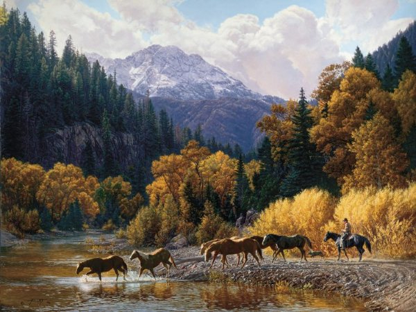 Tim Cox Rocky Mountain Paradise