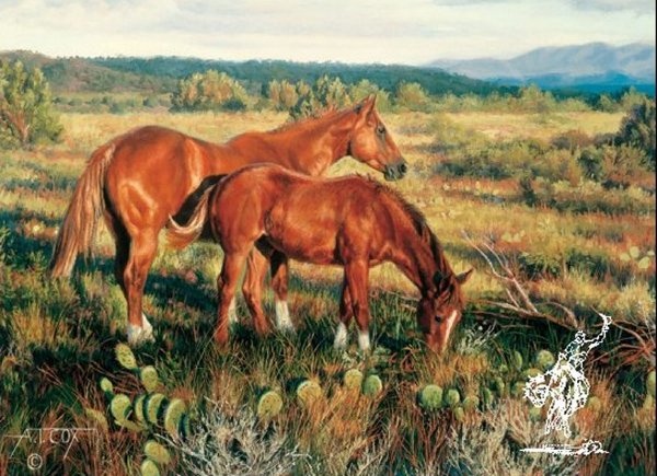 Tim Cox Sorrels In The Sun