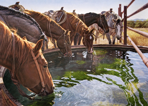 Tim Cox A Well Earned Drink