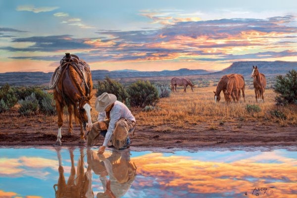 Tim Cox Reflections of a