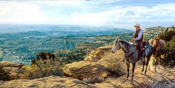 Tim Cox Where Freedom Lives