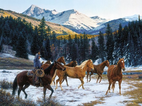 Tim Cox Where the Sun Shines on the Mountain Tops