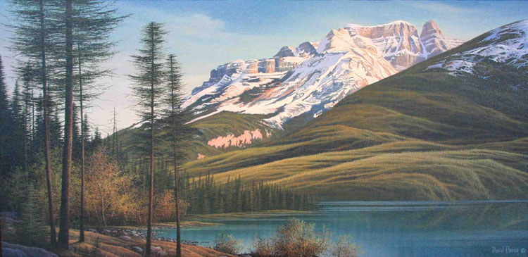 David Daase The Castlelets