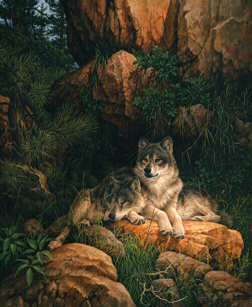 Soulmates detail Fanning Wolf Print 36x26 by Larry E 