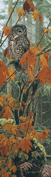 Rod Frederick Autumn Leaves