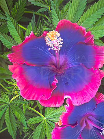 " HIGH - BISCUS "
Michael Godard " HIGH - BISCUS "Michael Godard Signed and numbered Giclee Canvas