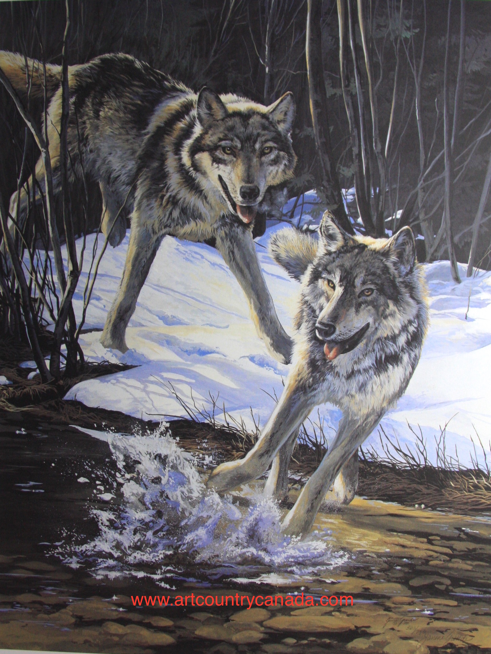 Janene Grende The Coming Of The Wolves