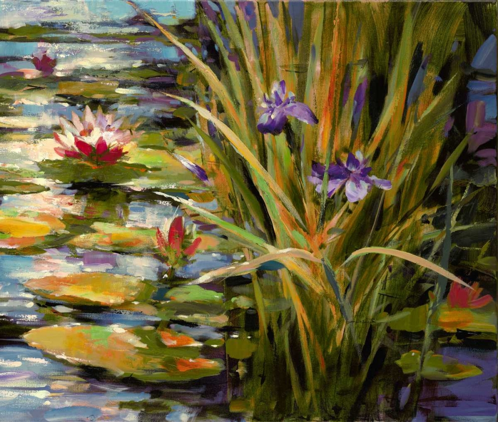 brent heighton pond iris