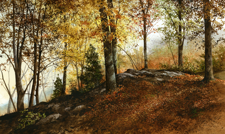 Ray Hendershot Up In The Woods
