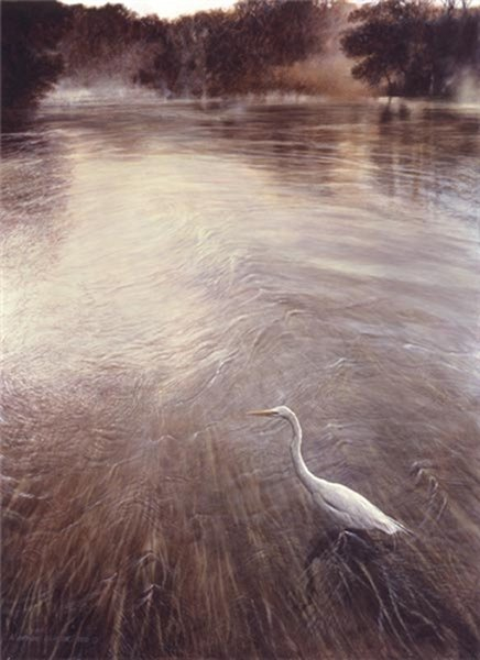 Matthew Hillier River Of grass Egret