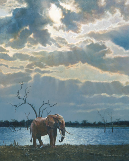 Matthew Hillier Sentinel Elephant