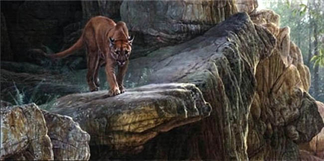 Matthew Hillier Warm Ligh