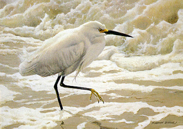 Matthew Hillier wave Dance