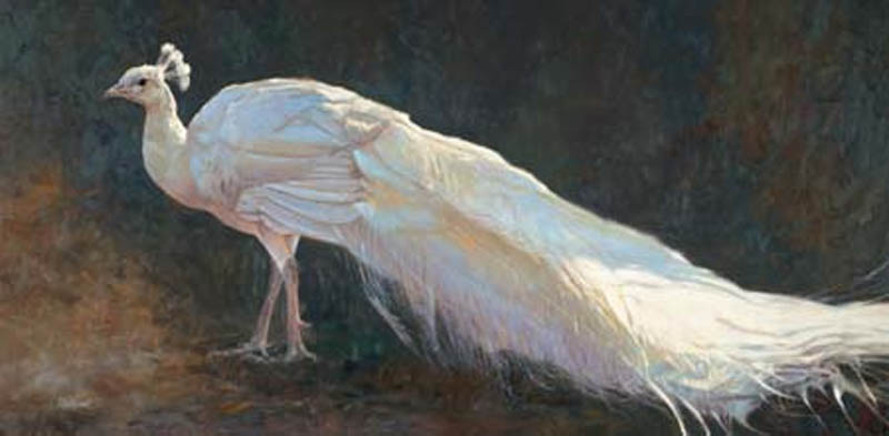 Matthew Hillier White Light