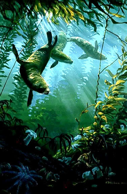 Mark Hobson Rhapsody In Green Sea Lions