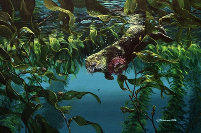 Mark Hobson Sea Otter Below