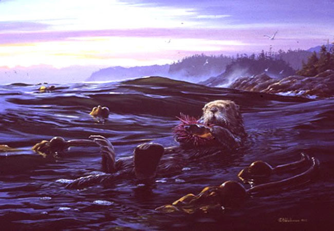 Mark Hobson Sea Otter Putting Feet UP