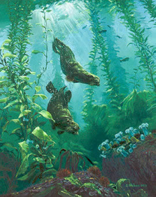 Mark Hobson Sea Otters Return