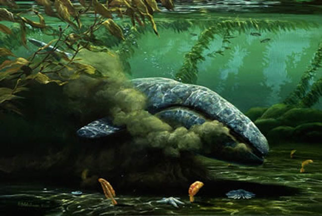 Mark Hobson Stirring Up The Bottom Grey Whale