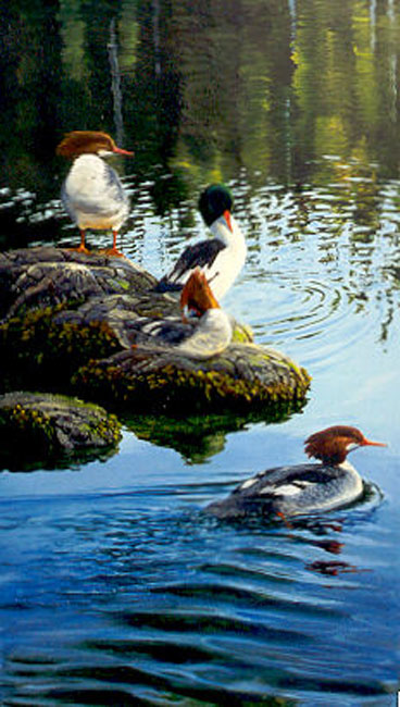 Mark Hobson Taking A Break