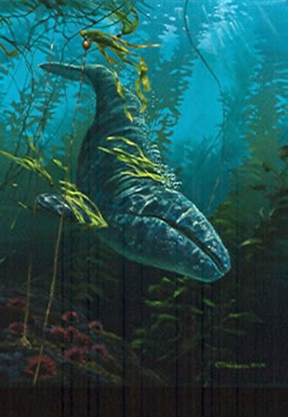 Mark Hobson Taking The Plunge Grey Whale