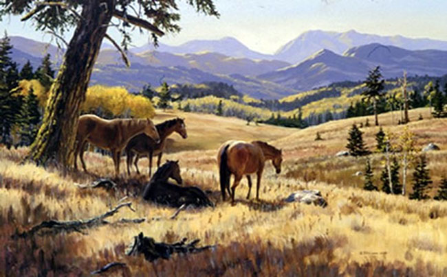 Mark Hobson Midday Hangout