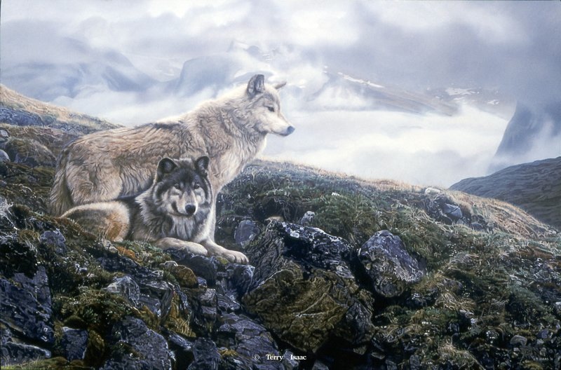 Terry Isaac Above The Timberline Wolves