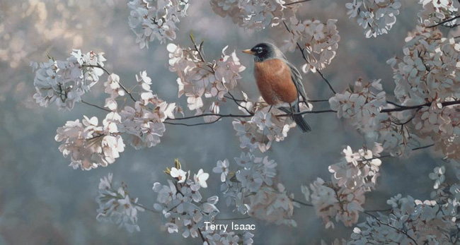 Terry Isaac Ambassador Of Spring