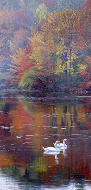 Terry Isaac Autumn Reflections