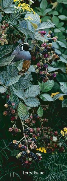 Terry Isaac Brambles and Brass Buttons