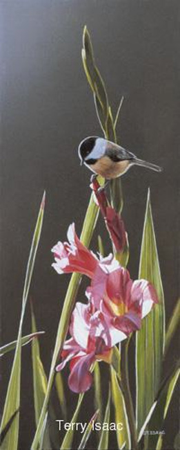 Terry Isaac Chickadee and Pink Gladiolas