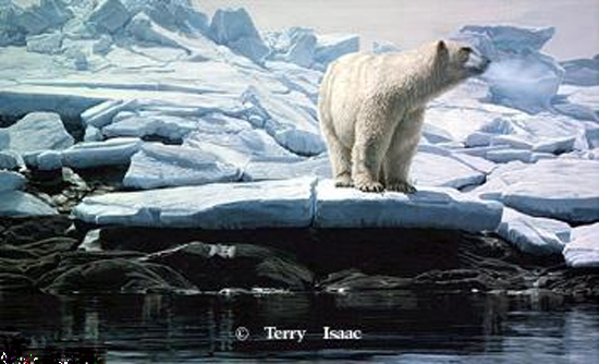 Terry Isaac Cumberland Sound