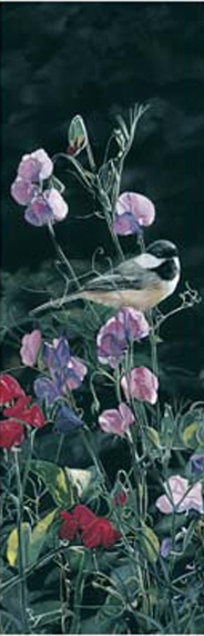 Terry Isaac Dash Of Color