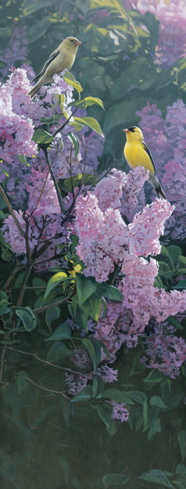 Terry Isaac Garden Gold