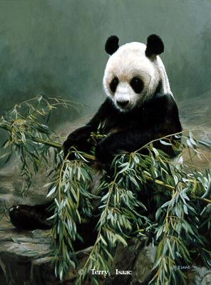 Terry Isaac Hsing Hsing Panda