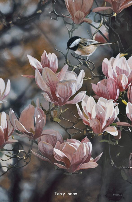 Terry Isaac In The Pink Chickadee
