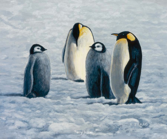 Terry Isaac New Friends Penguins