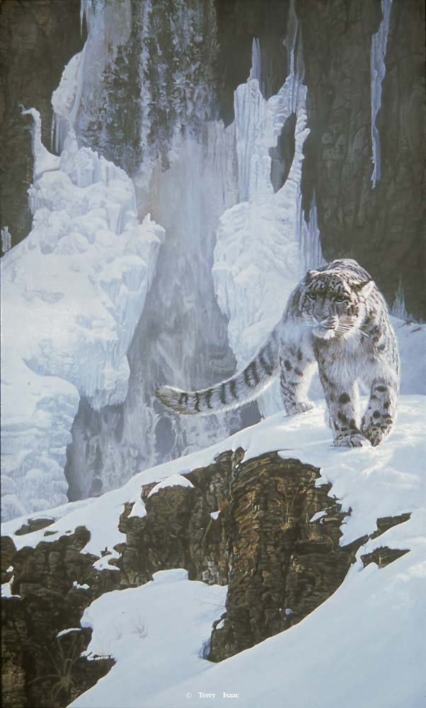 Terry Isaac Out Of The Ice and Snow