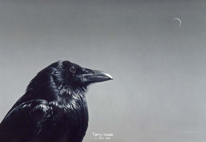 Terry Isaac Raven and Moon